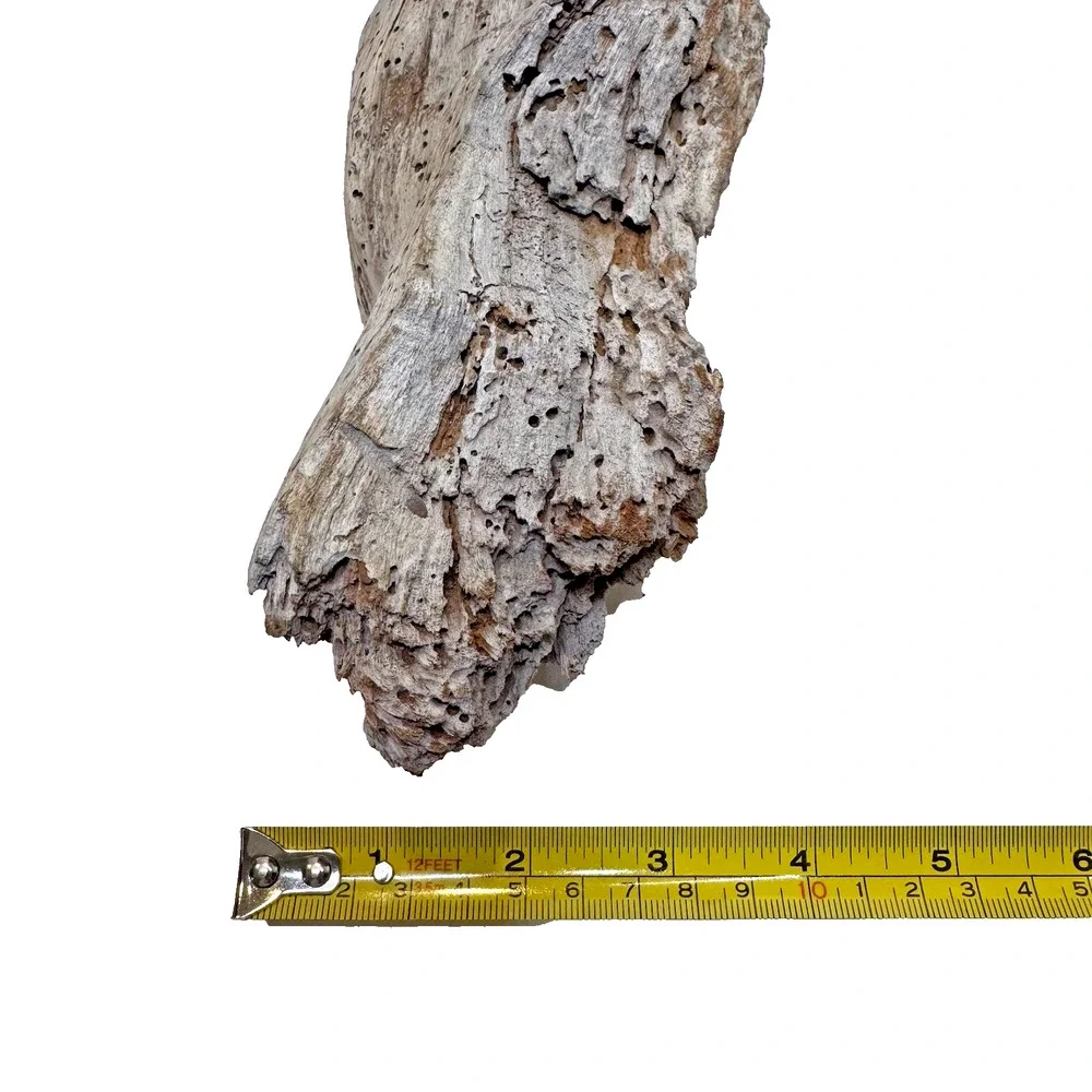 Set of 2 California Natural Driftwood Wavy Burlwood Terrarium Aquarium Craft